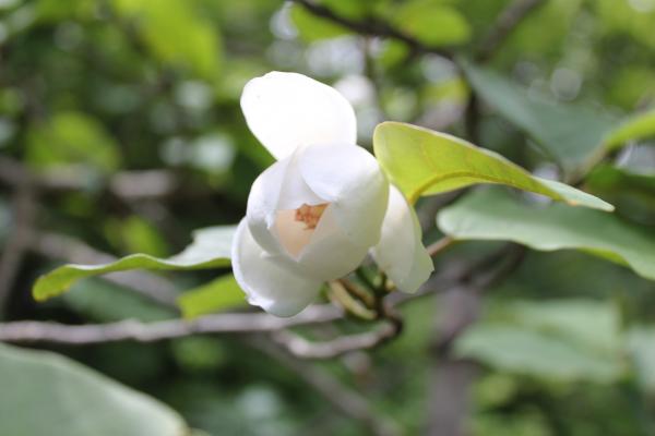 やっと会えました。